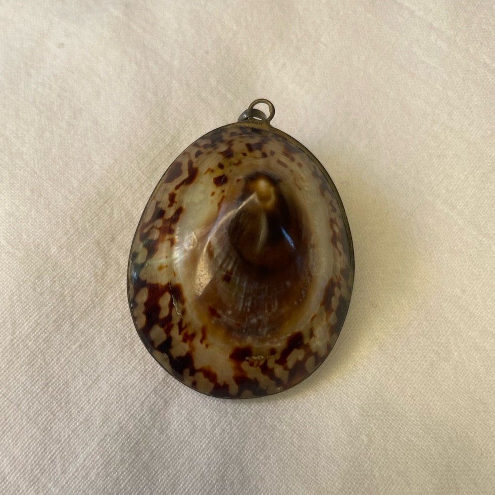 Full shell brown and cream shiny pendant. Beach bohemian. Bundle with something